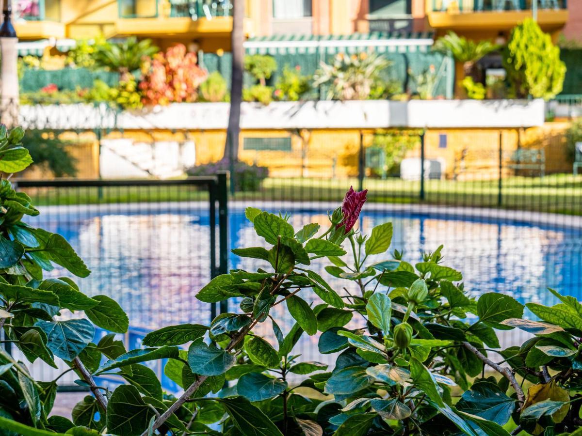 Palm Beach Apartment - ตอร์เรโมลิโนส ภายนอก รูปภาพ